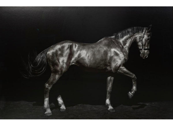 Todd Murphy “Aristides”